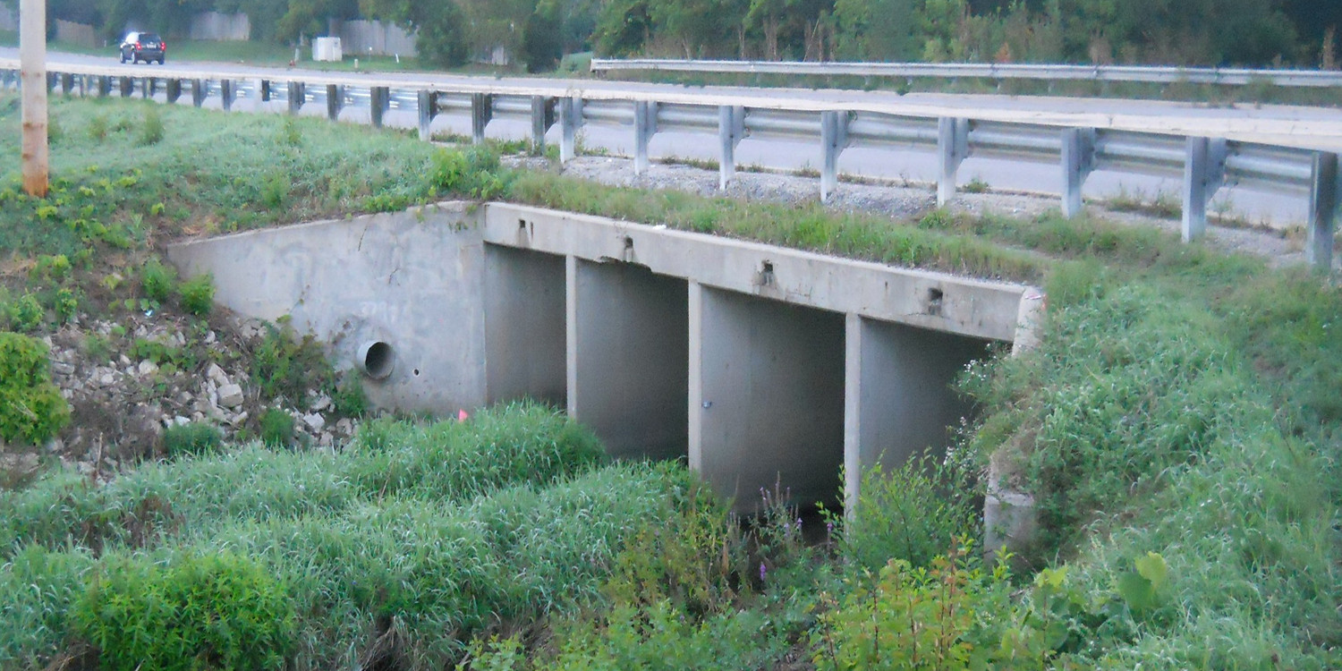 East Branch DuPage River Greenway Trail | Ciorba Group